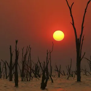 Dramatic sunset over Lake Kariba. Zimbabwe, Southern Africa