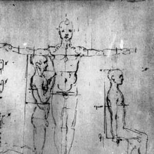 Detail of a Drawing of the Proportions of the Human Body by Leonardo da Vinci Detail of a Drawing of the Proportions of the Human Body by Leonardo da Vinci