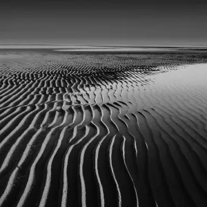 Dream Lines Dream Lines