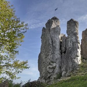 Drei Zinnen rocks near Grossenohe, municipality of Hiltpoltstein, Little Switzerland, Upper Franconia, Franconia, Bavaria, Germany, Europe