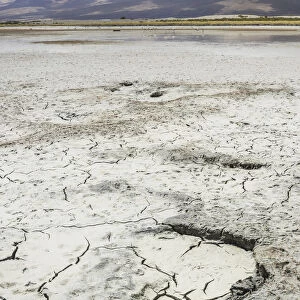 An almost dried up salt lake, Putre, Arica and Parinacota Region, Chile