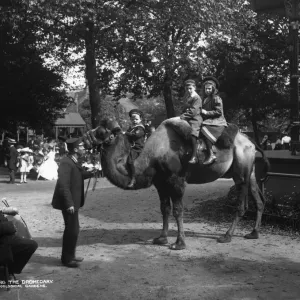 Dromedary Ride