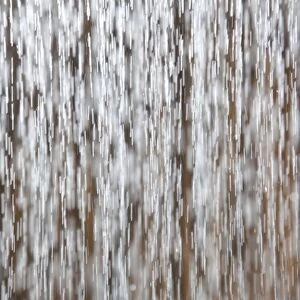 Dropping water, water drops, in front of bamboo