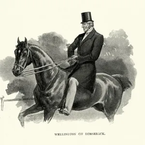 Vintage Engraving Print of the Duke of Wellington on Horseback Vintage Engraving Print of the Duke of Wellington on Horseback
