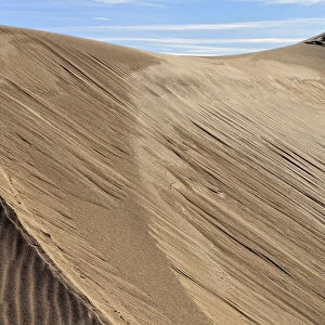 Dune crest, sand ridge, Great Sand Dunes National Park in Mosca, Colorado, USA