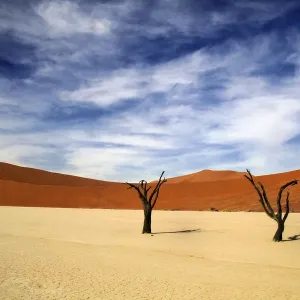 dune, Isolated, red dunes dune, Isolated, red dunes