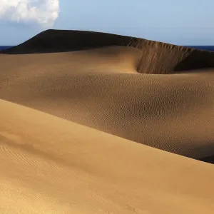 Dune landscape, dunes of Maspalomas, Dunas de Maspalomas, structures in the sand, nature reserve Dune landscape, dunes of Maspalomas, Dunas de Maspalomas, structures in the sand, nature reserve