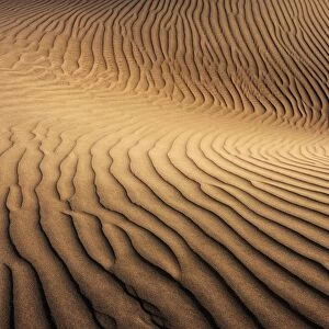 Dunes of Maspalomas, Dunas de Maspalomas, structures in the sand, nature reserve, Gran Canaria