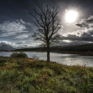 Dunlewey View
