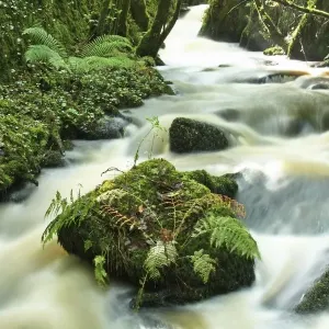 Dunmanway Print - Clashnacrona River Landscape Dunmanway Print - Clashnacrona River Landscape