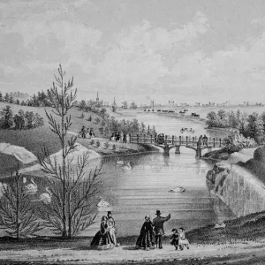 Early Central Park Early Central Park