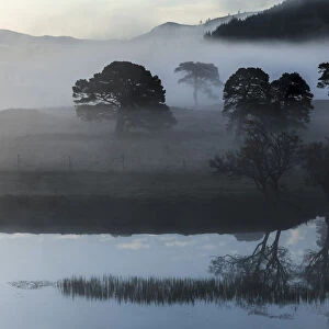 Early morning fog at Loch Arkaig, Fort William, Highlands, Scotland, United Kingdom