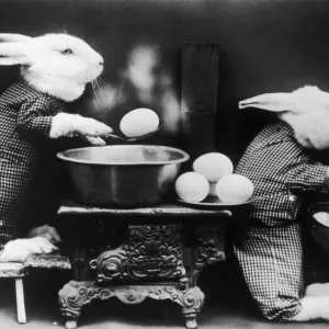 Easter Bunnies Easter Bunnies