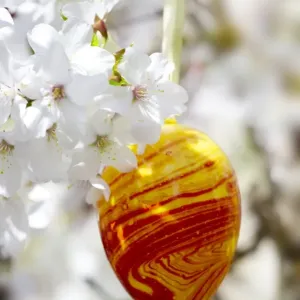 Easter egg and cherry blossoms Easter egg and cherry blossoms