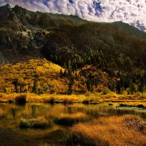 Eastern Sierra Fall Color Eastern Sierra Fall Color