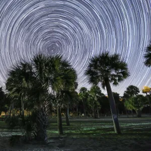 Edisto Island Star Trails