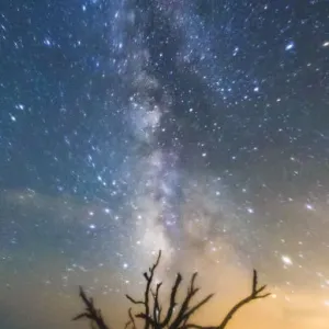 Edisto Milkyway Edisto Milkyway
