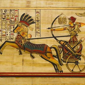 Egyptian ancient papyrus Egyptian ancient papyrus