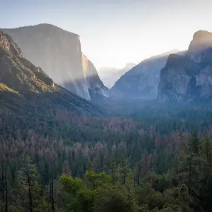 El Capitan Morning Light Print El Capitan Morning Light Print