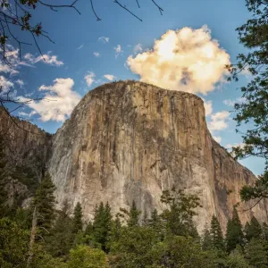 El Capitan Yosemite National Park Print El Capitan Yosemite National Park Print
