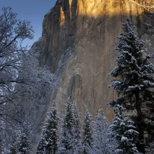El Capitan at sunrise, Yosemite National Park El Capitan at sunrise, Yosemite National Park