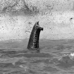 Images Dated 1980 June: 5 Jun 1980