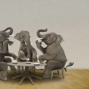 Elephant Business Meeting