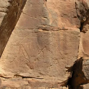 Print of a Rock-Carved Elephant in the Tadrart Acacus Mountains, Libya Print of a Rock-Carved Elephant in the Tadrart Acacus Mountains, Libya