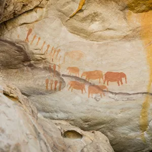 Elephant rock art paintings near Stadsaal Caves, Cederberg Wilderness Area, Western Cape Province, South Africa