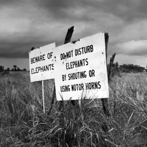 Advertencia de Elefante. Advertencia de Elefante.