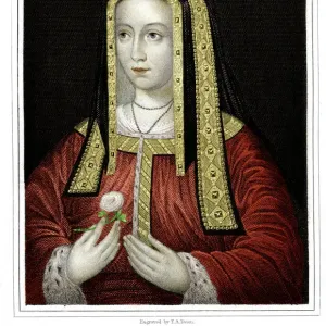 Elizabeth of York Elizabeth of York