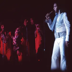 Elvis Presley in concert in Las Vegas Elvis Presley in concert in Las Vegas