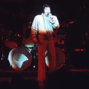 Elvis Presley in concert in Las Vegas Elvis Presley in concert in Las Vegas