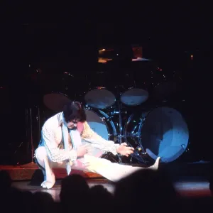 Elvis Presley in concert in Las Vegas Elvis Presley in concert in Las Vegas