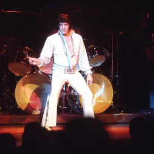 Elvis Presley in concert in Las Vegas Elvis Presley in concert in Las Vegas