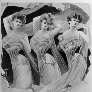 The Erect Form Corset Print June 1902 The Erect Form Corset Print June 1902