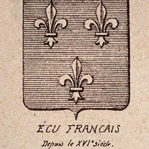 Escutcheon, or heraldic shield, 16th Century French coat of arms, fleur de lis on striped background