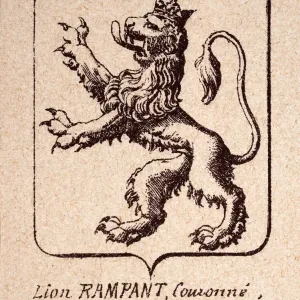 Escudo o escudete, característica del blasón, presenta al León Rampante con corona. Escudo o escudete, característica del blasón, presenta al León Rampante con corona.