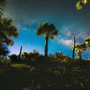 Esisto Island Milky Way Esisto Island Milky Way