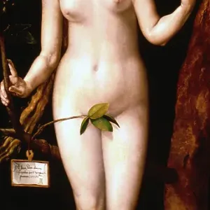 Eve, 1507. Artist: Albrecht Dürer Eve, 1507. Artist: Albrecht Dürer