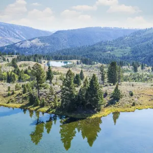 Evergreen Trees Reflected in Still Water Print Evergreen Trees Reflected in Still Water Print