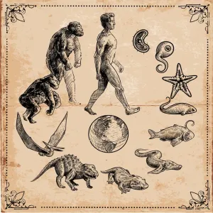 La Evolución de la Vida. La Evolución de la Vida.