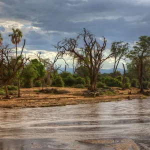 Ewaso Ng iro River in Samburu National Reserve, Kenya, East Africa, Africa, PublicGround