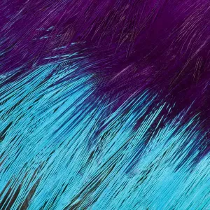 Vue extrêmement rapprochée du dessin des plumes de poitrine. Vue extrêmement rapprochée du dessin des plumes de poitrine.