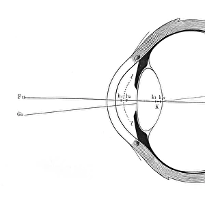 Eye, schematic representation