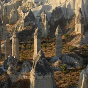 Fairy Chimneys Print in Red Valley, Cappadocia Fairy Chimneys Print in Red Valley, Cappadocia