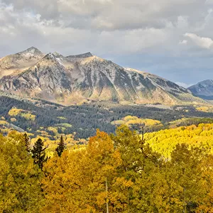 Fall colors at Kebler Pass, Crested Butte, Colorado, USA