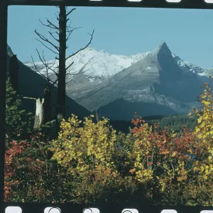 Images Dated 1973 November: 1 Nov 1973