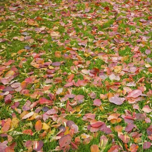 Images Dated 2011 November: 25 Nov 2011