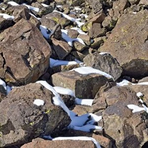 Fallen basalt rocks with remnants of snow, Highway 65, Grand Mesa National Forest, Colorado, USA